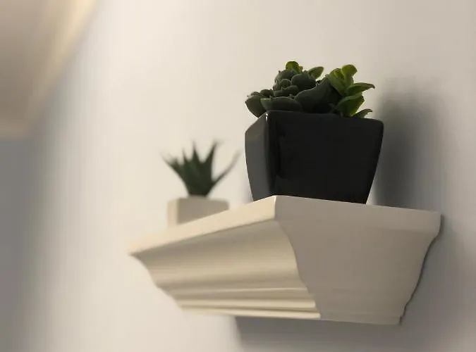 Casa Di Flo דירה